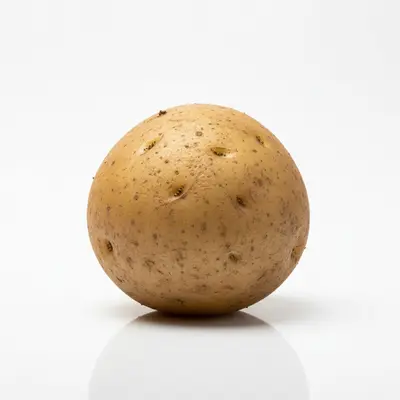 The Potato