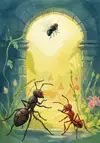 THE FLY AND THE ANT